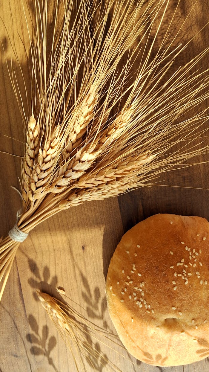 Golden wheat stalks and a fresh sesame bun on a rustic wooden table.